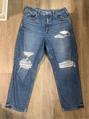 American Eagle Women’s Curvy Mom Jeans size 12 X-Short Blue